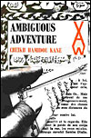Ambiguous adventure