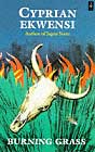 Burning Grass