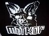 Motkop